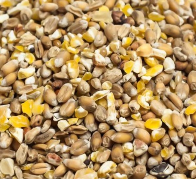 gemengd-graan-20kg